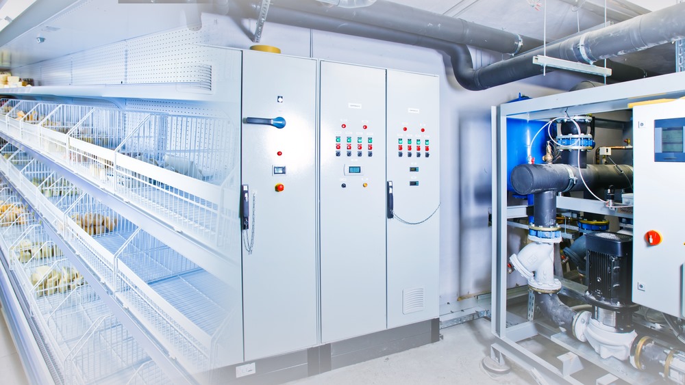 refrigeration-chamber-food-storage-racks-refrigerator